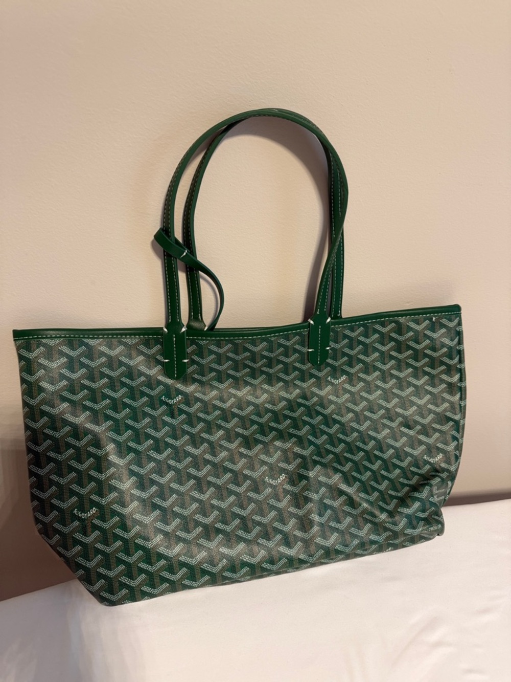 Goyard Green Patterned St. Louis Tote